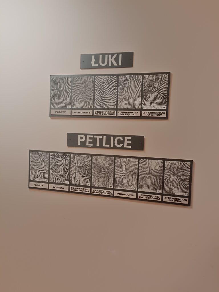 tablica z odciskami palców w Laboratorium Kryminalistycznym